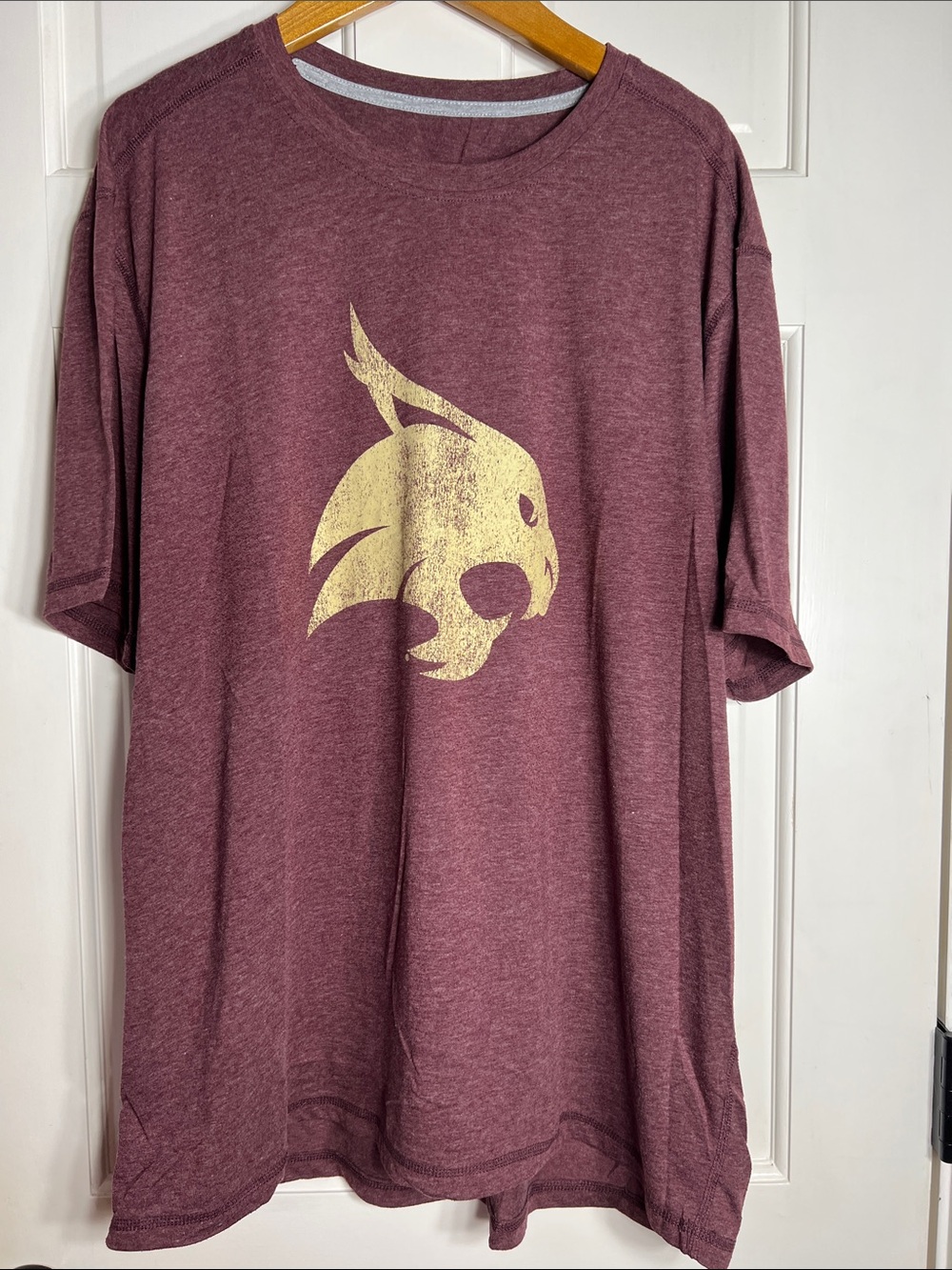 Champion Texas State Graphic Short sleeve Tee XXL
